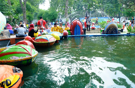 Kebun Binatang Surabaya Penginapannet 2020